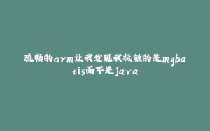 流畅的orm让我发现我抵触的是mybatis而不是java-拾光赋