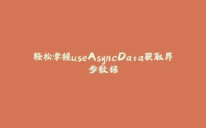 轻松掌握useAsyncData获取异步数据-拾光赋