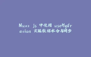 Nuxt.js 中使用 useHydration 实现数据水合与同步-拾光赋