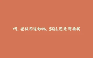 呵，老板不过如此，SQL还是得看我-拾光赋