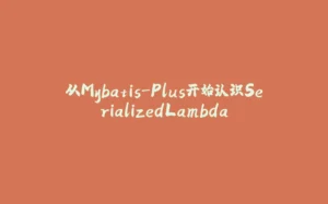从Mybatis-Plus开始认识SerializedLambda-拾光赋