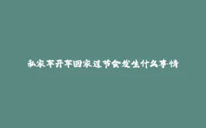 私家车开车回家过节会发生什么事情-拾光赋