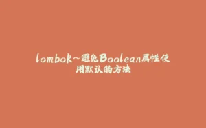 lombok~避免Boolean属性使用默认的方法-拾光赋