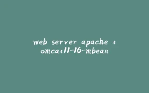 web server apache tomcat11-16-mbean-拾光赋