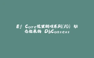 Ef Core花里胡哨系列(10) 动态起来的 DbContext-拾光赋