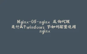 Nginx-05-nginx 反向代理是什么？windows 下如何配置使用 nginx-拾光赋