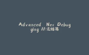 Advanced .Net Debugging 11:完结篇-拾光赋