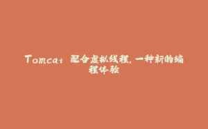 Tomcat 配合虚拟线程，一种新的编程体验-拾光赋
