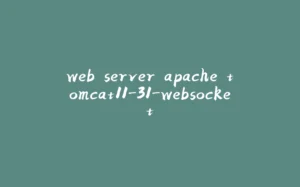 web server apache tomcat11-31-websocket-拾光赋