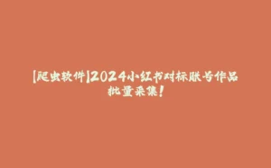 【爬虫软件】2024小红书对标账号作品批量采集!-拾光赋
