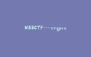 NSSCTF——crypto-拾光赋