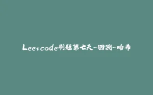 Leetcode刷题第七天-回溯-哈希-拾光赋