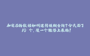 加密后的数据如何进行模糊查询?今天面了 10 个,没一个能答上来的!-拾光赋