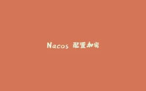 Nacos 配置加密-拾光赋