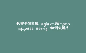 从零手写实现 nginx-35-proxy_pass netty 如何实现?-拾光赋