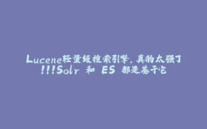 Lucene轻量级搜索引擎,真的太强了!!!Solr 和 ES 都是基于它-拾光赋
