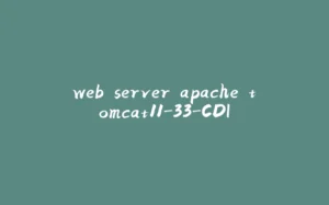 web server apache tomcat11-33-CDI-拾光赋
