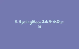 5、SpringBoot2之整合Durid-拾光赋