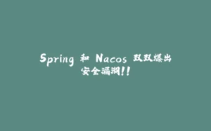 Spring 和 Nacos 双双爆出安全漏洞！！-拾光赋