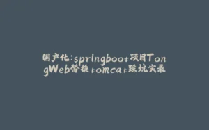 国产化:springboot项目TongWeb替换tomcat踩坑实录-拾光赋