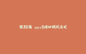 第38篇 net8接口调试方式-拾光赋