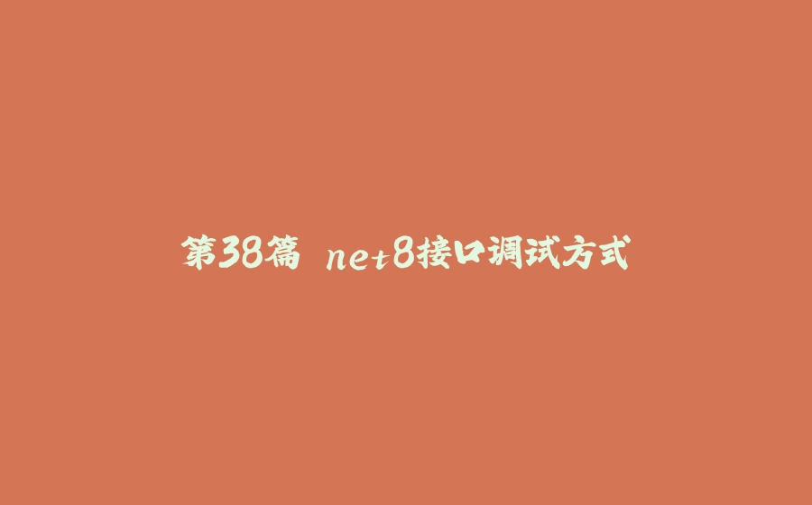 第38篇 net8接口调试方式 - 拾光赋-拾光赋