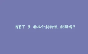 .NET 9 的几个新特性，新颖吗？-拾光赋
