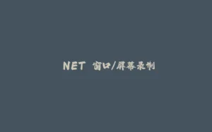 .NET 窗口/屏幕录制-拾光赋
