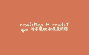 resultMap 和 resultType 的字段映射覆盖问题-拾光赋