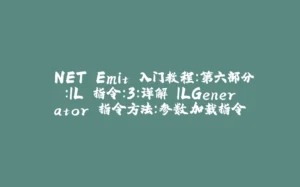 .NET Emit 入门教程:第六部分:IL 指令:3:详解 ILGenerator 指令方法:参数加载指令-拾光赋