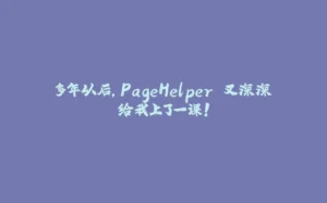 多年以后，PageHelper 又深深给我上了一课！-拾光赋