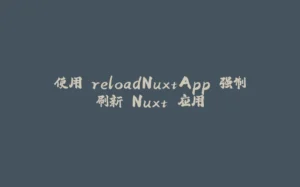 使用 reloadNuxtApp 强制刷新 Nuxt 应用-拾光赋