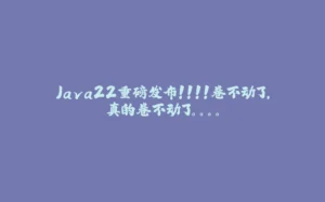 Java22重磅发布！！！！卷不动了，真的卷不动了。。。。-拾光赋