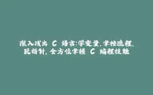 深入浅出 C 语言:学变量、掌控流程、玩指针,全方位掌握 C 编程技能-拾光赋