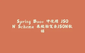 Spring Boot 中使用 JSON Schema 来校验复杂JSON数据-拾光赋