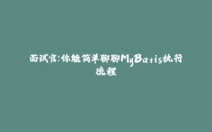 面试官：你能简单聊聊MyBatis执行流程-拾光赋