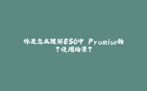 你是怎么理解ES6中 Promise的？使用场景？-拾光赋