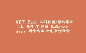 .NET Emit 入门教程:第六部分:IL 指令:7:详解 ILGenerator 指令方法:分支条件指令-拾光赋