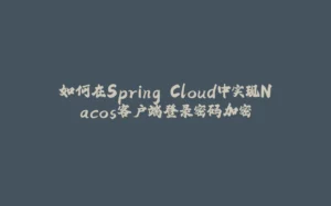 如何在Spring Cloud中实现Nacos客户端登录密码加密-拾光赋