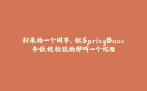 新来的一个同事，把SpringBoot参数校验玩的那叫一个优雅-拾光赋