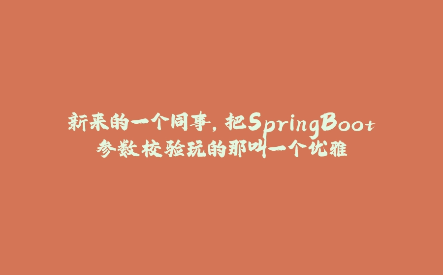 新来的一个同事，把SpringBoot参数校验玩的那叫一个优雅 - 拾光赋-拾光赋