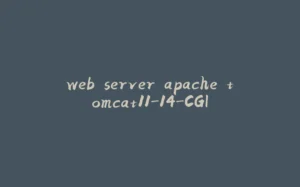 web server apache tomcat11-14-CGI-拾光赋