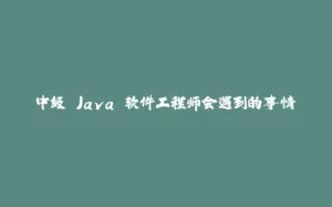 中级 Java 软件工程师会遇到的事情-拾光赋