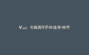 Vue 实现图片下拉选择控件-拾光赋