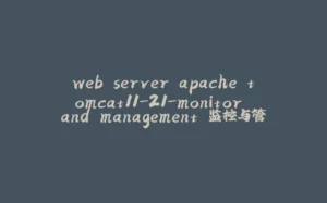 web server apache tomcat11-21-monitor and management 监控与管理-拾光赋