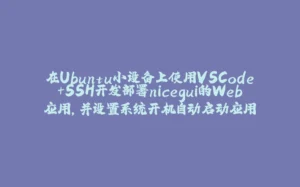 在Ubuntu小设备上使用VSCode+SSH开发部署nicegui的Web应用，并设置系统开机自动启动应用-拾光赋