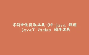 字符串值提取工具-04-java 调用 java? Janino 编译工具-拾光赋