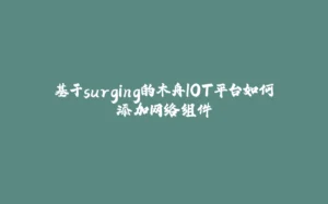 基于surging的木舟IOT平台如何添加网络组件-拾光赋