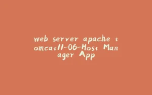 web server apache tomcat11-06-Host Manager App-拾光赋