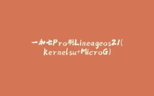 一加七Pro刷Lineageos21(kernelsu+MicroG)-拾光赋